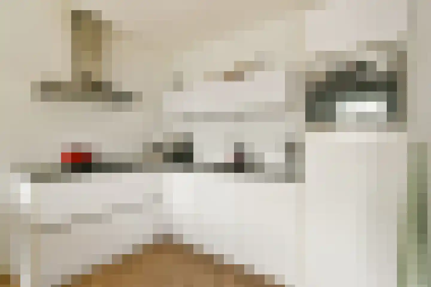 Waldenlaan 77 Amsterdam thumbnail 6