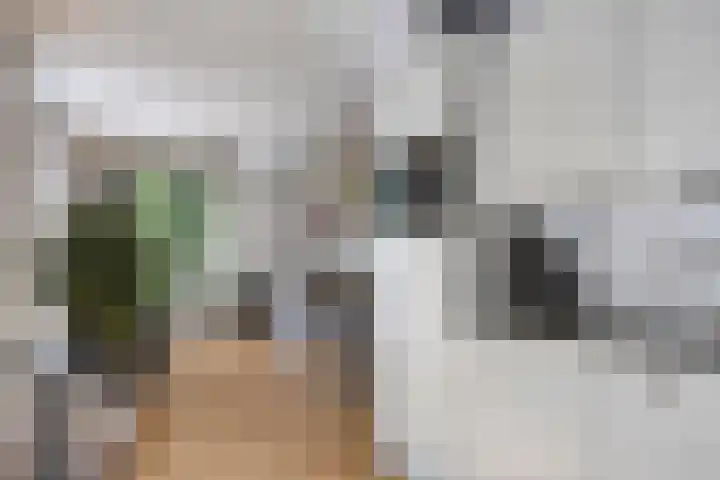 Walderweg 10 Kerkwijk thumbnail 6