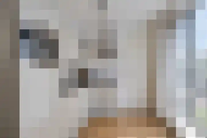 Walderweg 10 Kerkwijk thumbnail 7