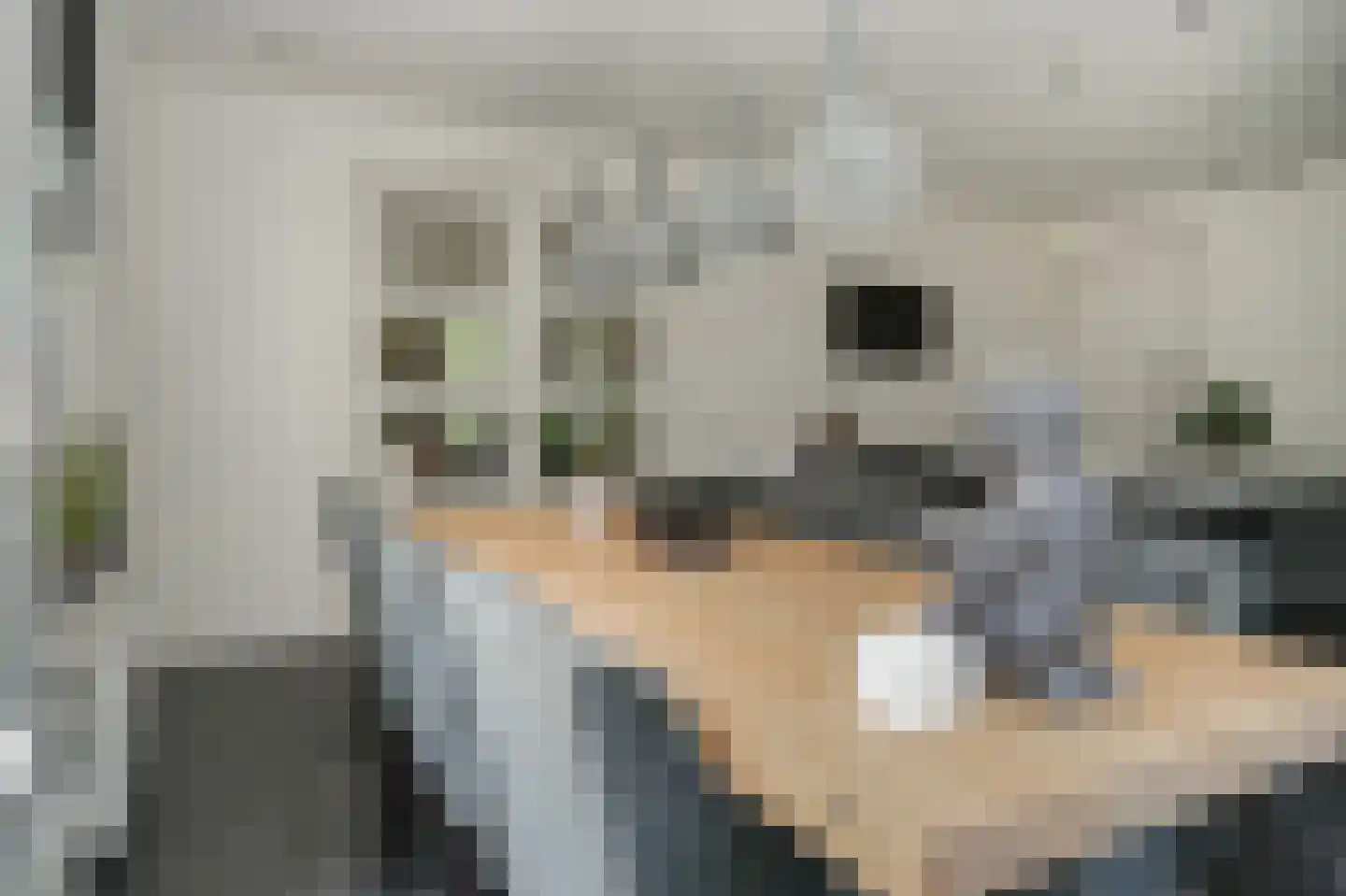 Walderweg 3 a Kerkwijk thumbnail 15
