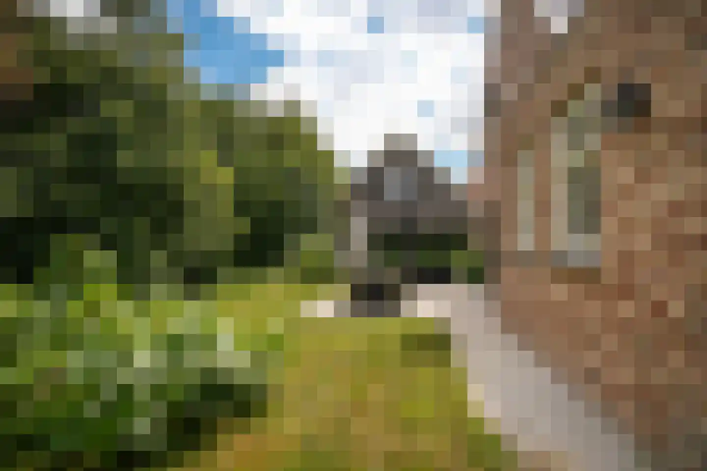 Walderweg 3 a Kerkwijk thumbnail 45