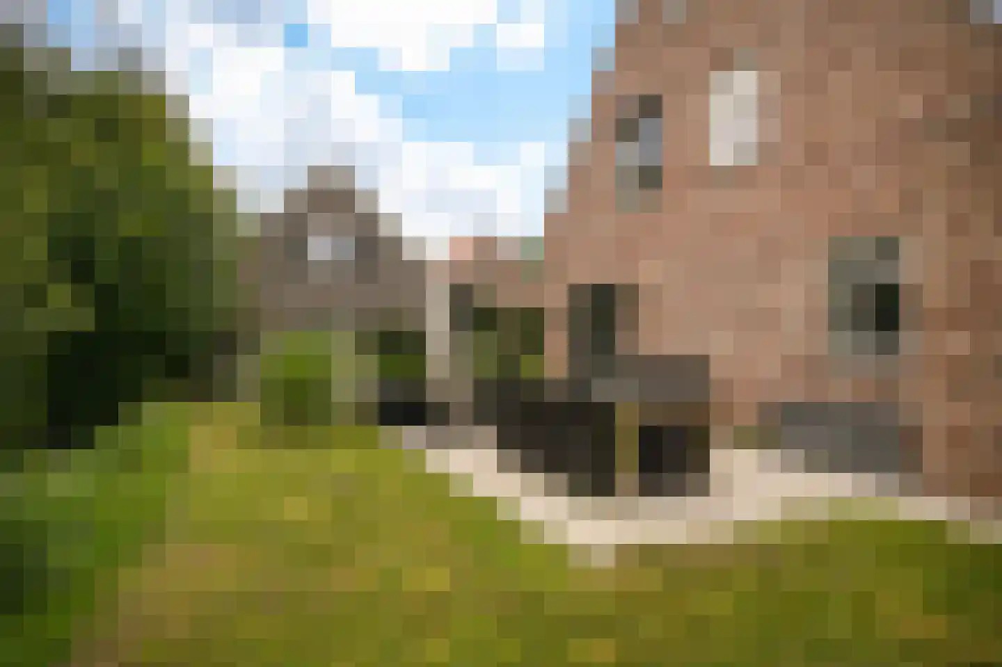 Walderweg 3 a Kerkwijk thumbnail 46
