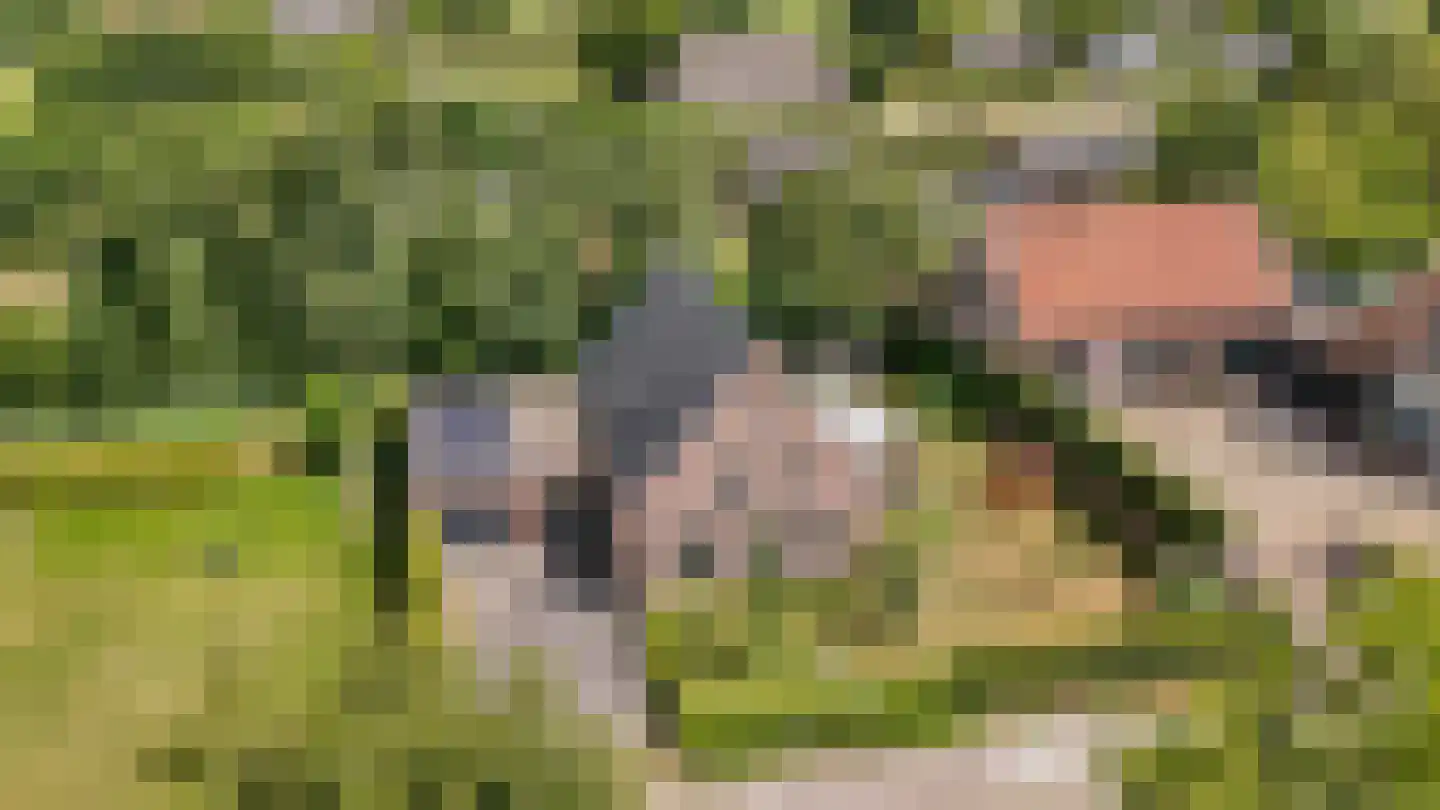 Walderweg 3 a Kerkwijk thumbnail 56