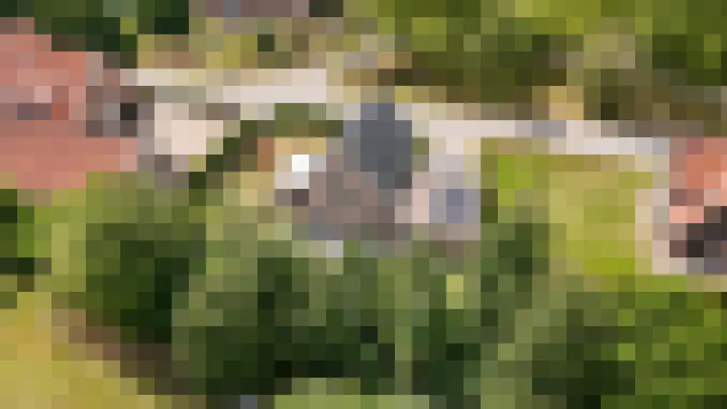 Walderweg 3 a Kerkwijk thumbnail 57