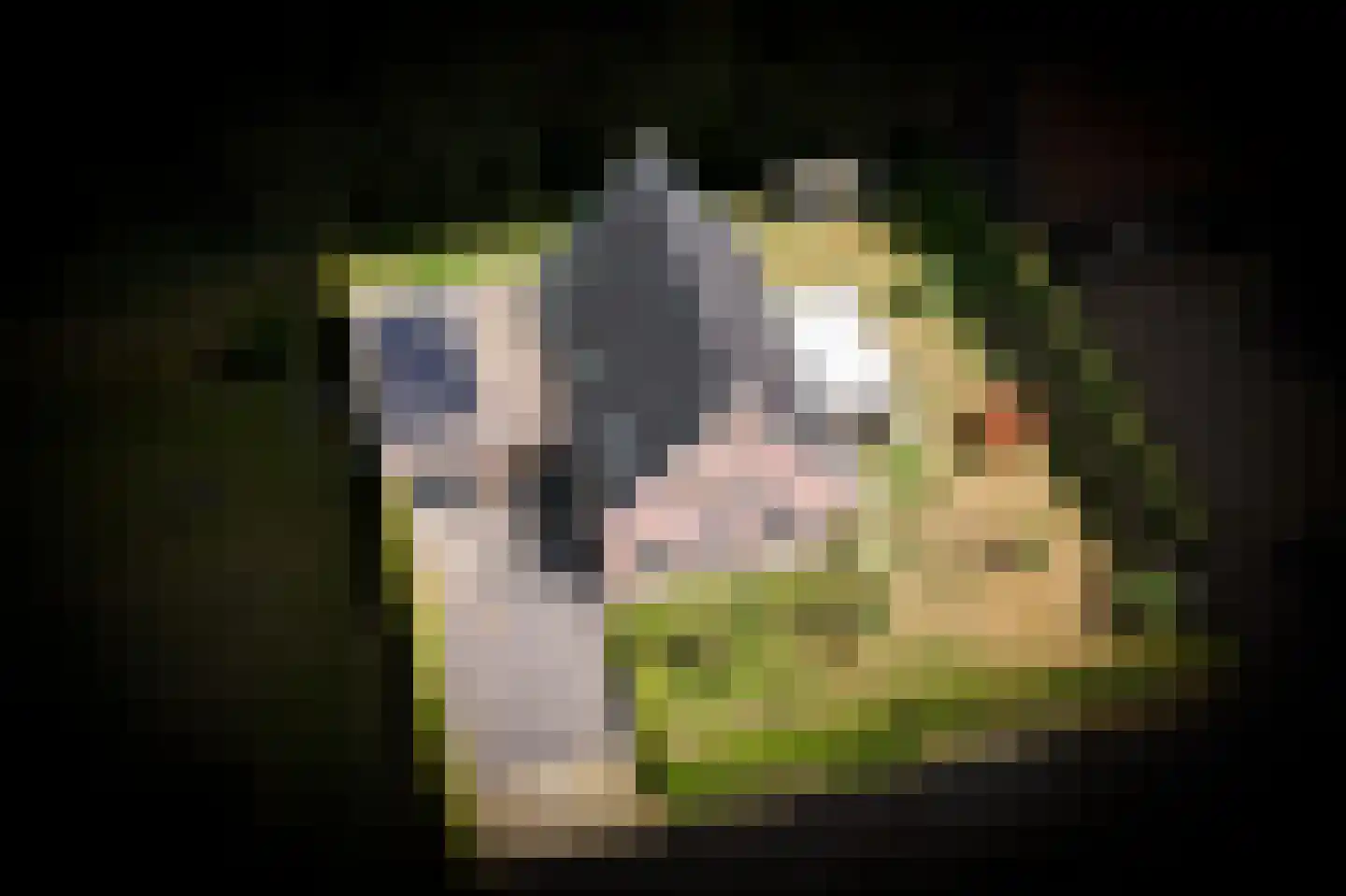 Walderweg 3 a Kerkwijk thumbnail 58