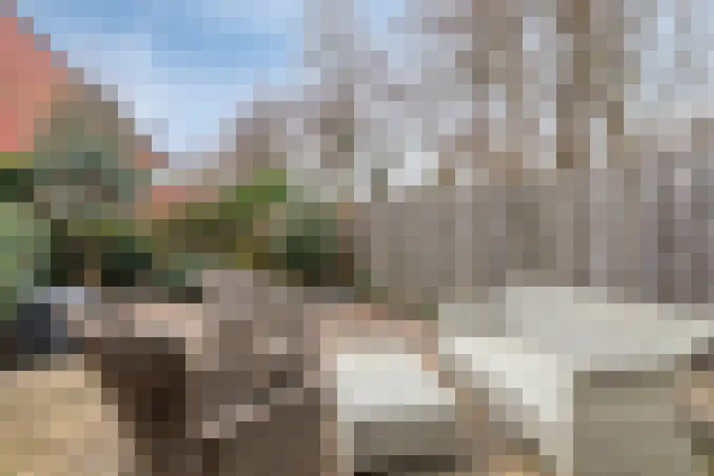 Waldhoorn 26 Capelle aan den IJssel thumbnail 22