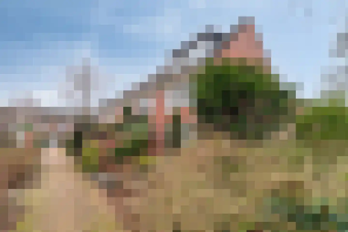 Waldhoorn 26 Capelle aan den IJssel thumbnail 6