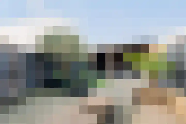 Waldhoorn 36 Capelle aan den IJssel thumbnail 15