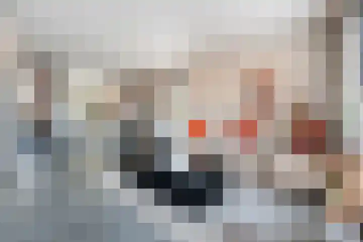 Waldhoorn 36 Capelle aan den IJssel thumbnail 9