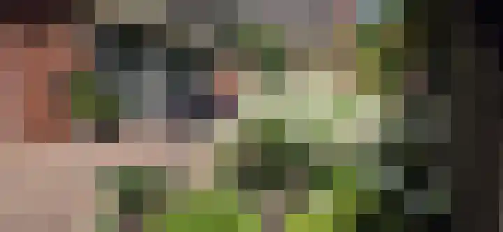 Waldhoorn 37 Capelle aan den IJssel thumbnail 12