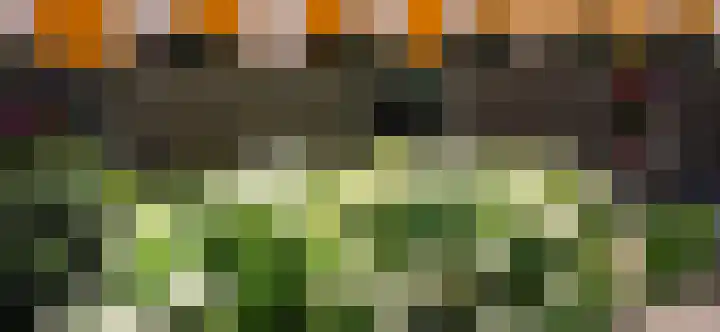 Waldhoorn 37 Capelle aan den IJssel thumbnail 37