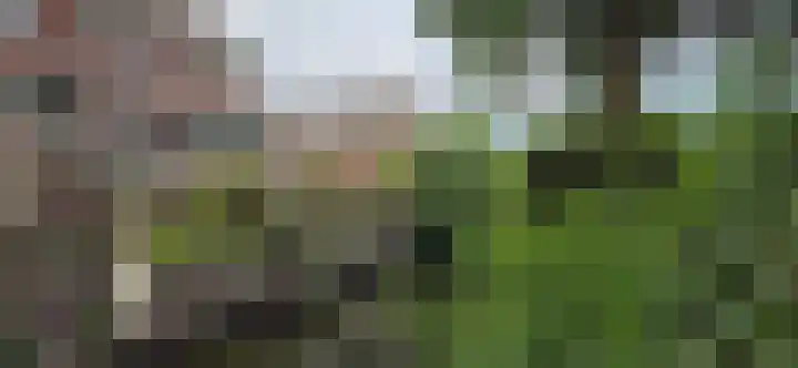 Waldhoorn 37 Capelle aan den IJssel thumbnail 39