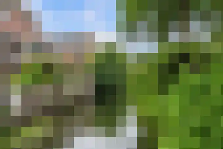 Waldhoorn 37 Capelle aan den IJssel thumbnail 41