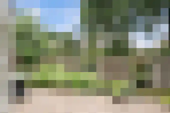 Waldhoorn 37 Capelle aan den IJssel thumbnail 5