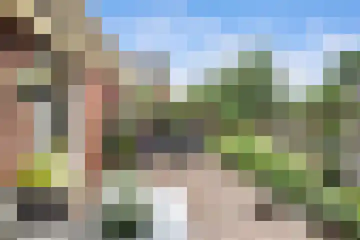Waldhoorn 37 Capelle aan den IJssel thumbnail 6