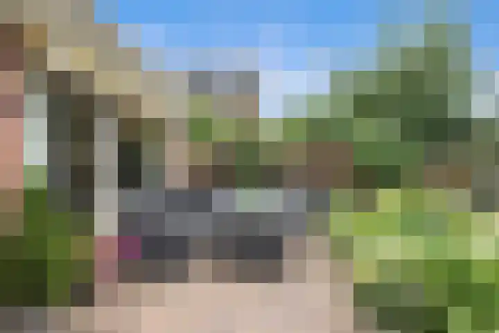 Waldhoorn 37 Capelle aan den IJssel thumbnail 7