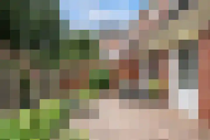 Waldhoorn 37 Capelle aan den IJssel thumbnail 8