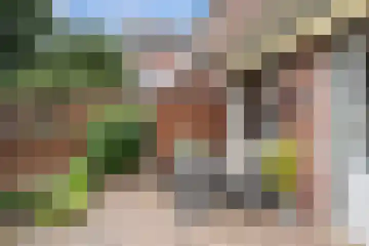 Waldhoorn 37 Capelle aan den IJssel thumbnail 9