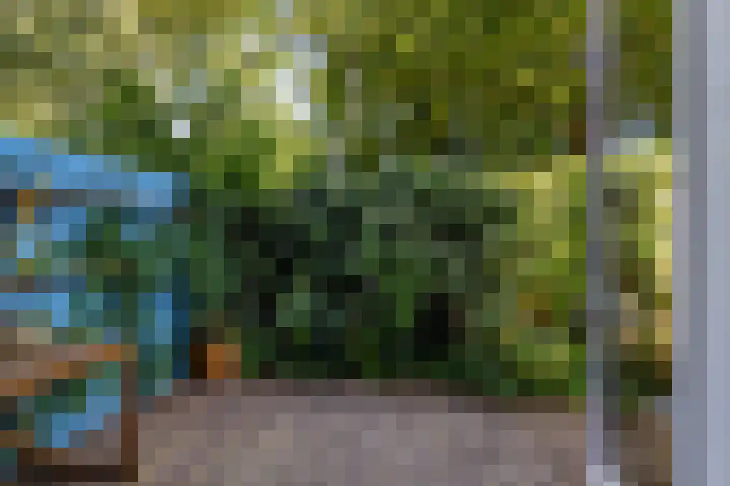 Waldhoorn 54 Capelle aan den IJssel thumbnail 18