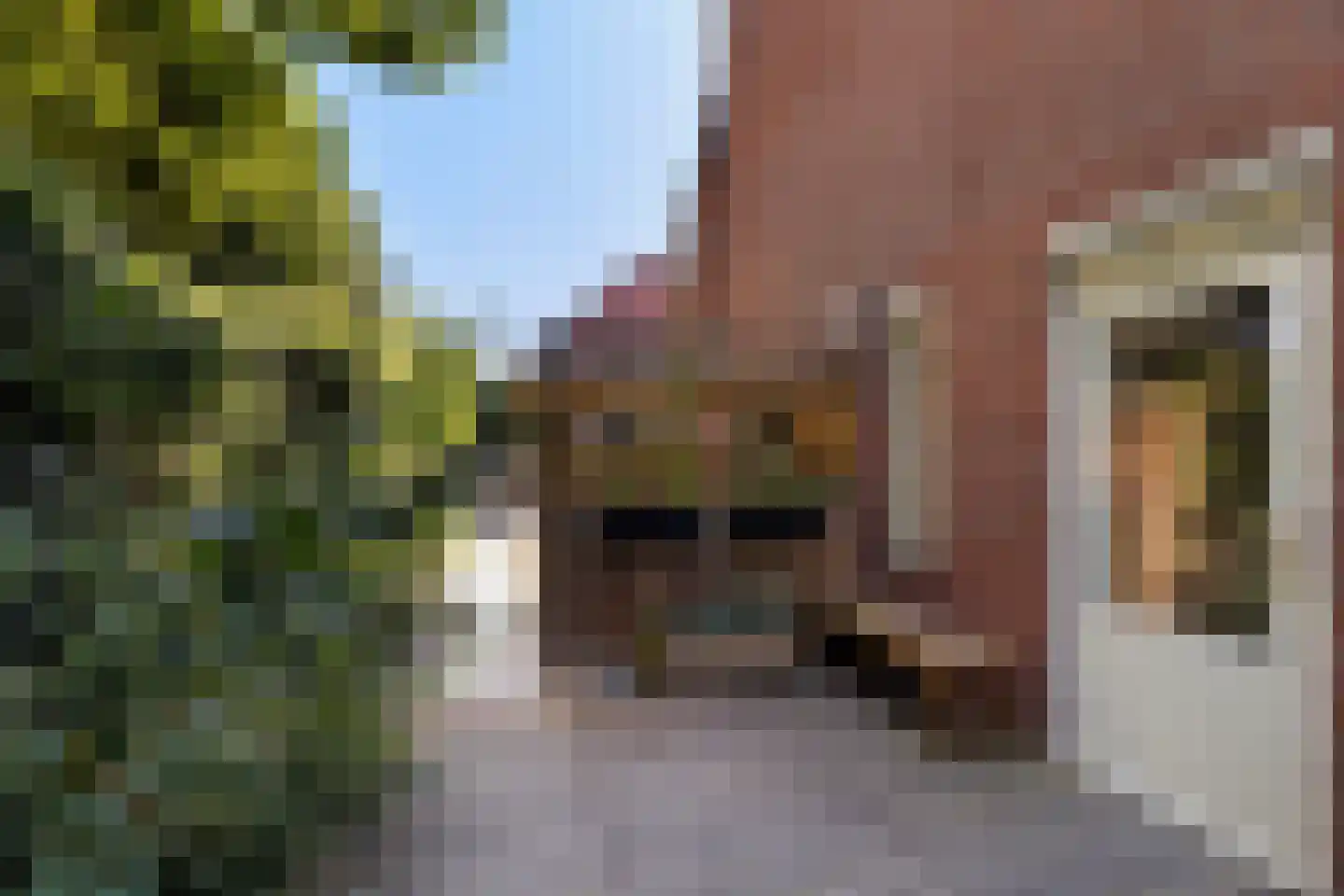 Waldhoorn 54 Capelle aan den IJssel thumbnail 4