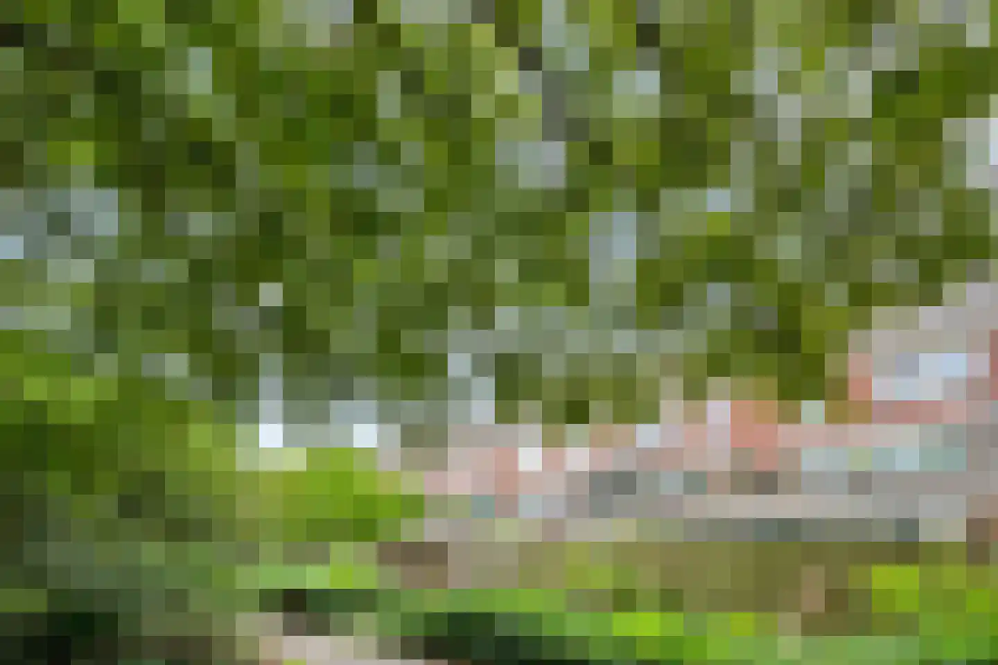 Waldhoorn 86 Capelle aan den IJssel thumbnail 38