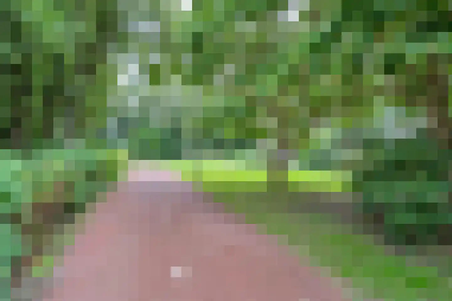 Waldhoorn 86 Capelle aan den IJssel thumbnail 43
