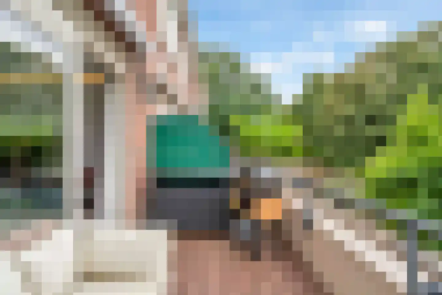Waldhoorn 86 Capelle aan den IJssel thumbnail 8