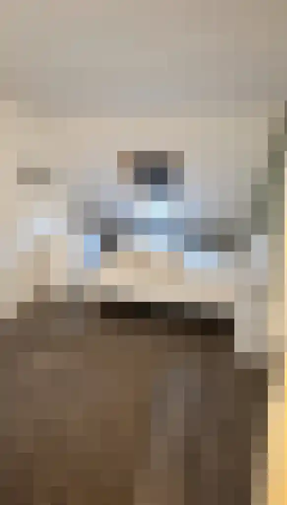Waldhoorn Capelle aan den IJssel thumbnail 8