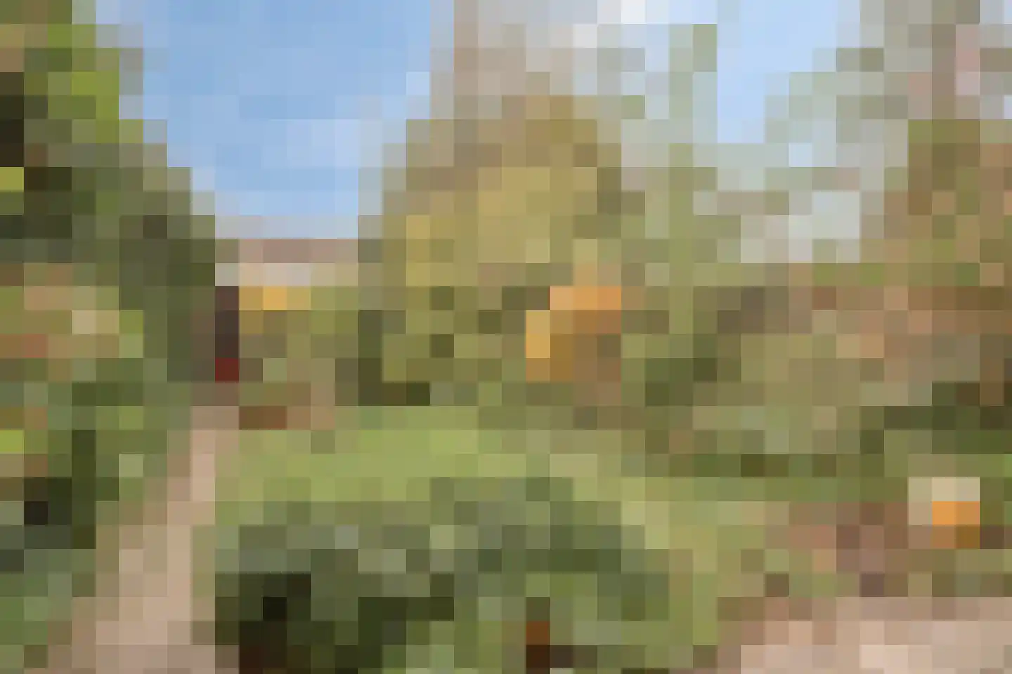 Waldhoornlaan 110 Etten-Leur thumbnail 25