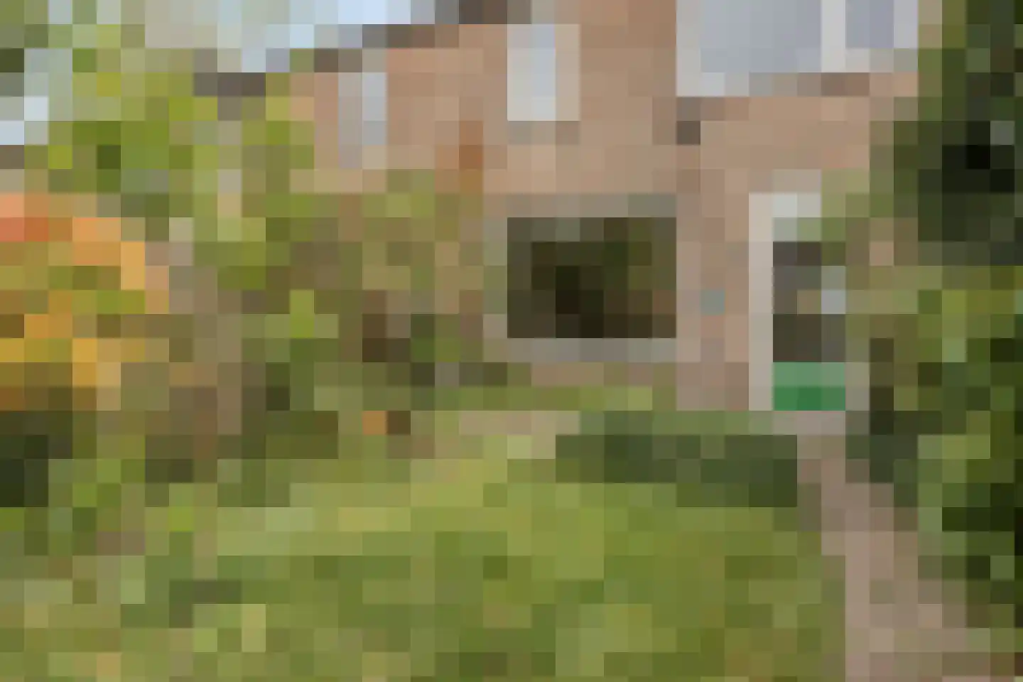 Waldhoornlaan 110 Etten-Leur thumbnail 4