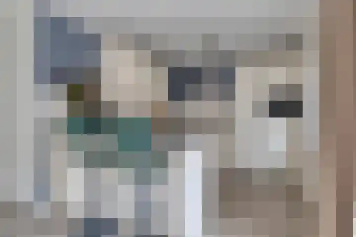 Waldhoornlaan 13 Oldenzaal thumbnail 10