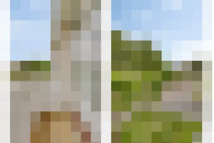Waldhoornlaan 13 Oldenzaal thumbnail 19