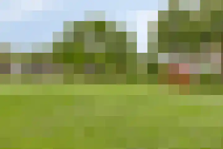 Waldhoornlaan 13 Oldenzaal thumbnail 33