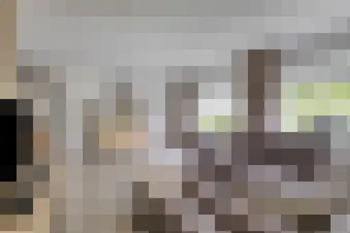 Waldhoornlaan 13 Oldenzaal thumbnail 4