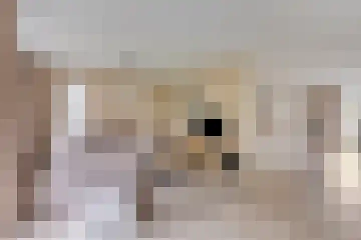 Waldhoornlaan 13 Oldenzaal thumbnail 5