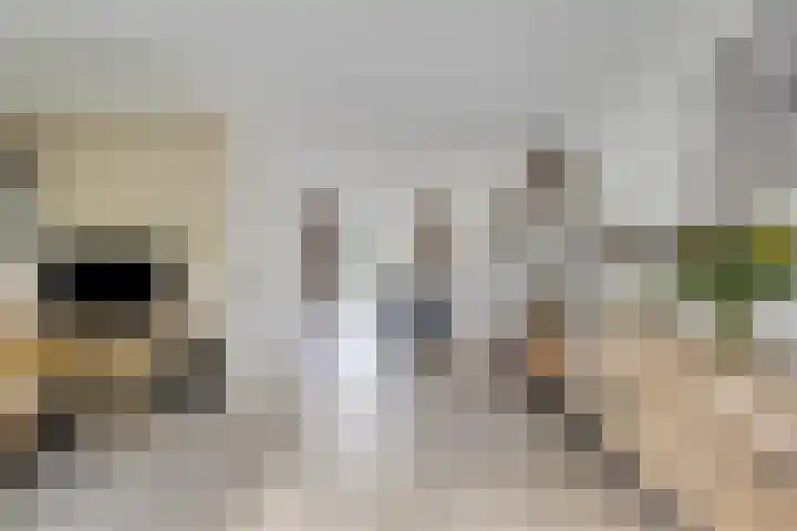 Waldhoornlaan 13 Oldenzaal thumbnail 6