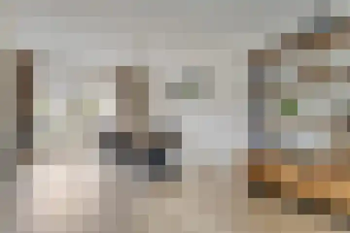 Waldhoornlaan 13 Oldenzaal thumbnail 7
