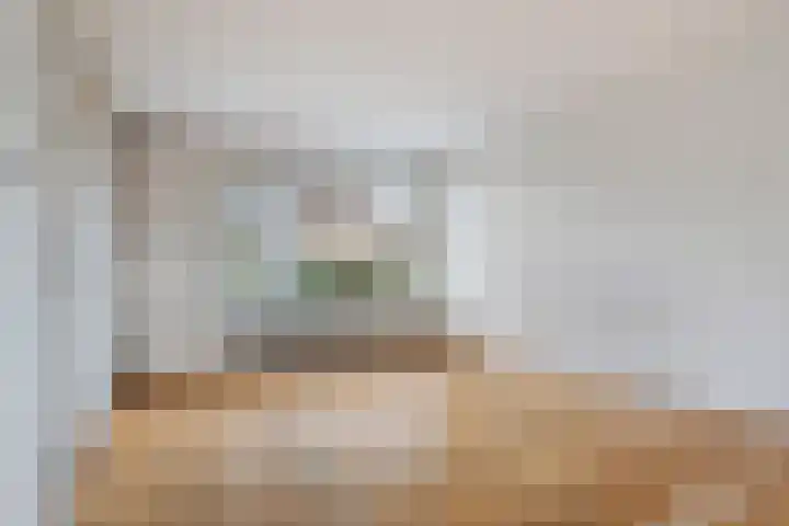 Waldhoornlaan 192 Etten-Leur thumbnail 11