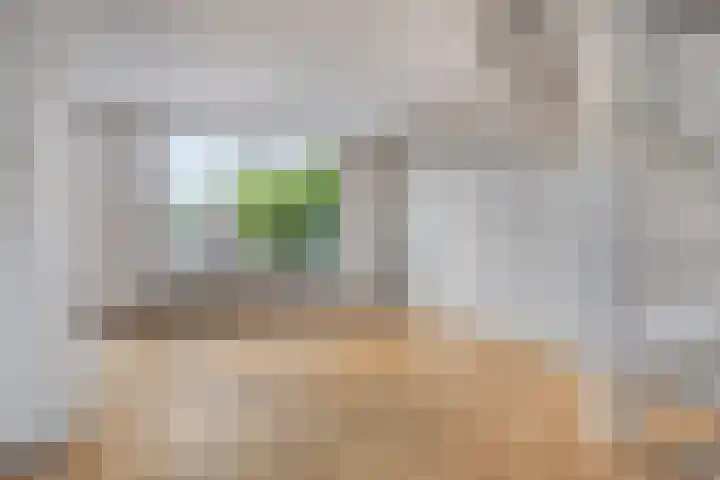Waldhoornlaan 192 Etten-Leur thumbnail 14