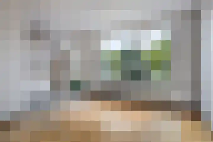Waldhoornlaan 192 Etten-Leur thumbnail 15