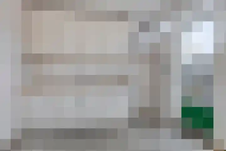 Waldhoornlaan 192 Etten-Leur thumbnail 18