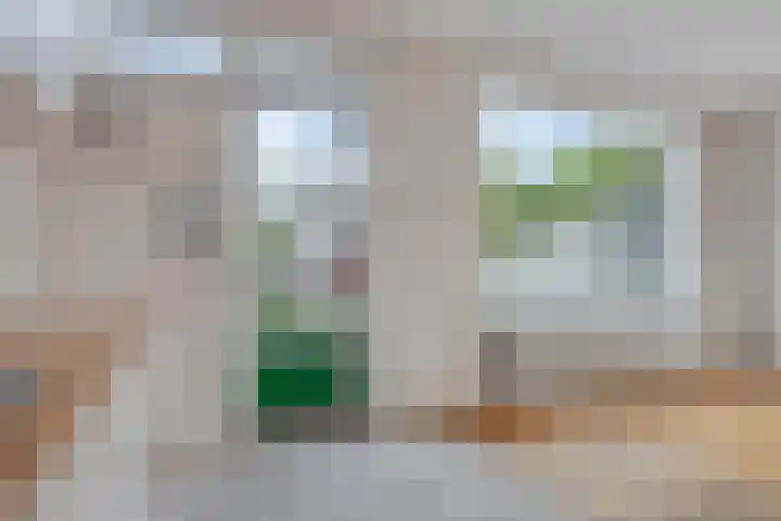 Waldhoornlaan 192 Etten-Leur thumbnail 20