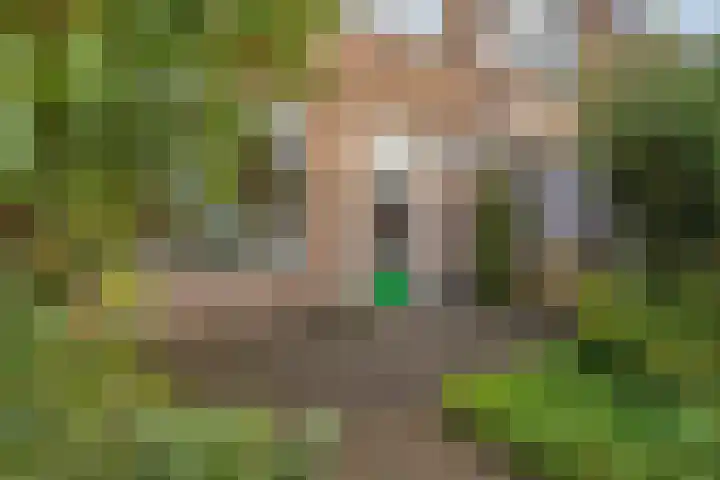 Waldhoornlaan 192 Etten-Leur thumbnail 36