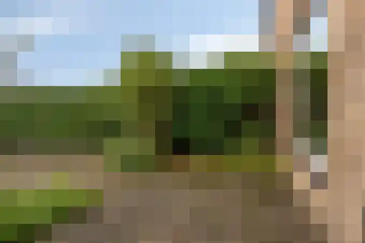 Waldhoornlaan 192 Etten-Leur thumbnail 37