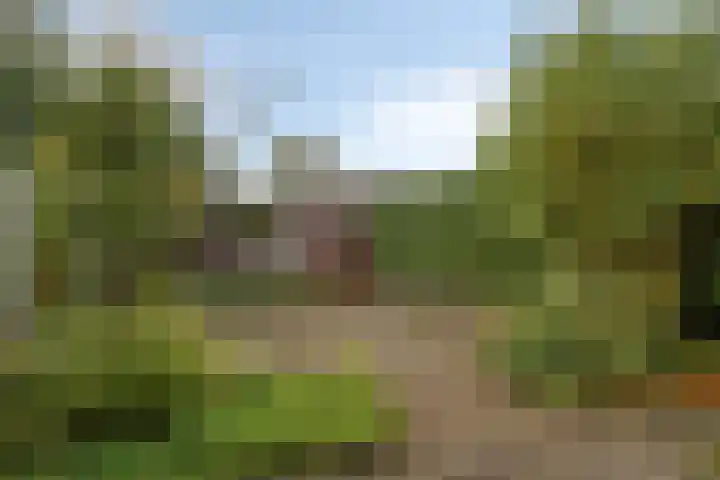 Waldhoornlaan 192 Etten-Leur thumbnail 38