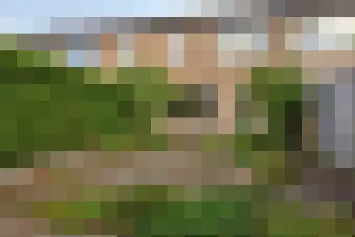 Waldhoornlaan 192 Etten-Leur thumbnail 40