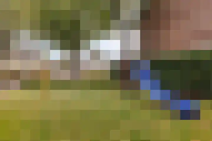 Waldhoornlaan 192 Etten-Leur thumbnail 47