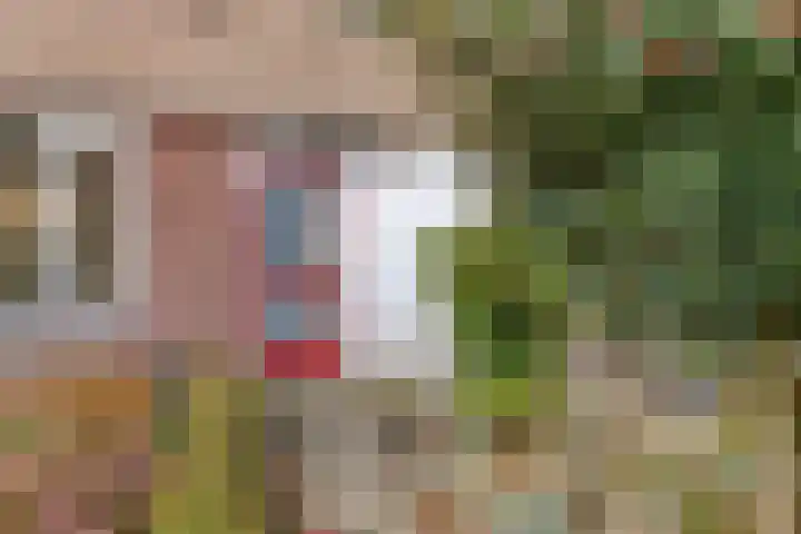Waldhoornlaan 192 Etten-Leur thumbnail 8
