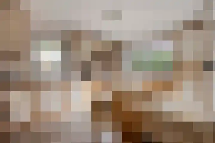 Waldhoornlaan 29 Etten-Leur thumbnail 13