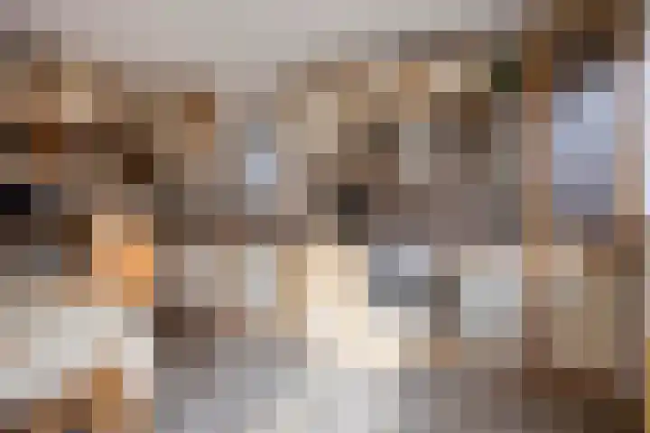 Waldhoornlaan 29 Etten-Leur thumbnail 14